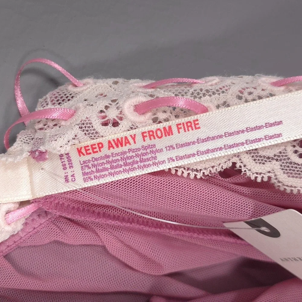 ANTHROPOLOGIE LYREBIRD Womens New Panties Lingeries MEDIUM Lace Mesh Pink